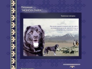 О питомнике Монгун Тайга и собаке породы тувинская овчарка