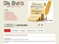 Студия web-дизайна и рекламы Olis BraVo