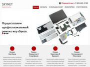 Сервисный центр "Скайнет" Ремонт компьютерной техники в Барнауле