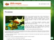 Чистка аквариума в Казани, обслуживание, оформление аквариумов ООО НПП &amp;quot