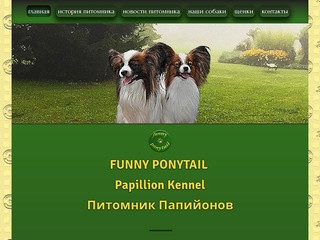 Питомник папийонов "Funny Ponytail"