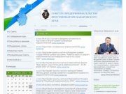 Совет по предпринимательству при губернаторе Хабаровского края