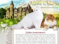 Питомник Шотландских кошек Le Marbre Blanc’s Псков | Шотландская кошка | Скоттиш-фолд в Пскове