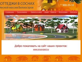 Коттеджный поселок эконом в Соснах Петербург СПб