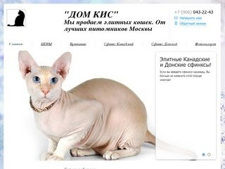 Domkis.ru - "ДОМ КИС"Мы продаем элитных кошек. От лучших питомников Москвы