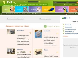 Домашние животные в Уфе: продажа животных, дарение, вязка, товары и услуги для животных в Уфе