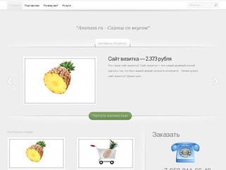 Ananass.ru - Создание и разработка сайтов в Чебоксарах.