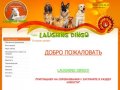 Воспитание и дрессировка собак Аджилити г. Санкт-Петербург Центр дрессировки собак Laughing Dingo