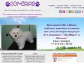 Зоосалон "ДОГ-ШАРМ" стрижка собак в обнинске