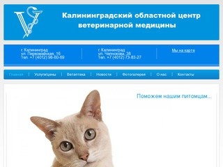 Услуги ветклиник в Калининграде, ветеринар на дом