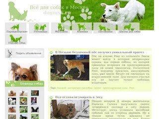 Dogmsk.ru | Всё для собак в Москве