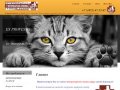 Оказание ветеринарных услуг Лечение домашних животных Лечение кошек и собак