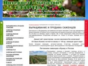 Саженцы оптом — продажа и выращивание саженцев в питомнике. Купить саженцы почтой в России 