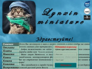 Котята мейн-куны | Самара | Lynxin miniature