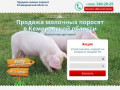 Купить поросят, молочных, маленьких, живых, мясных пород на откорм в Кемерово и области