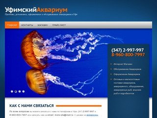 Уфимский аквариум, интернет-магазин и обслуживание аквариумов в Уфе