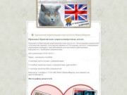 Британские короткошерстные котята. Продажа в Новосибирске.
