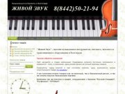 "Живой Звук" - магазин музыкальных инструментов, светового