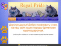Сайт о жизни Британских Короткошерстных кошек в городе Бородино Красноярского края (тел: 8 983 167 6925)